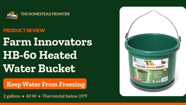 Farm Innovators HB-60 2-gallon 60 W heated water bucket product review - The Homestead Frontier